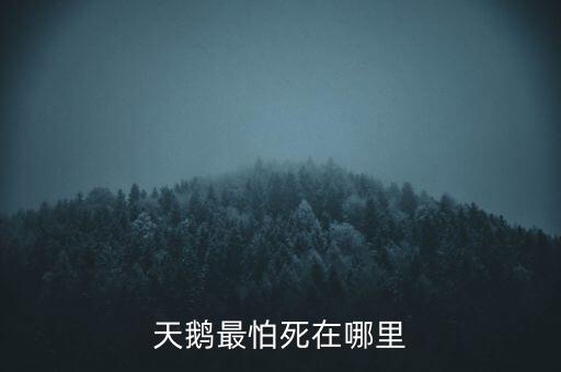 天鵝怕什么，天鵝最怕死在哪里