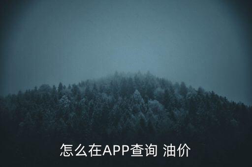 怎么在APP查詢(xún) 油價(jià)