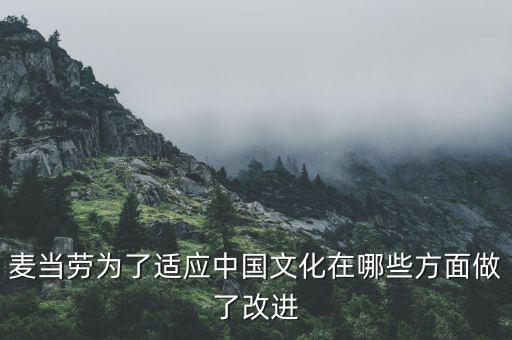 麥當勞中國的愿景是什么，麥當勞為了適應中國文化在哪些方面做了改進