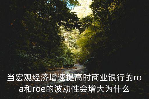 當宏觀經濟增速提高時商業(yè)銀行的roa和roe的波動性會增大為什么