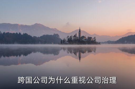 為什么要公司治理，索尼公司為何要進(jìn)行公司治理改革