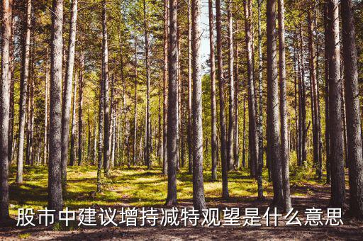 股票建議增持什么意思，股市中建議增持減特觀望是什么意思