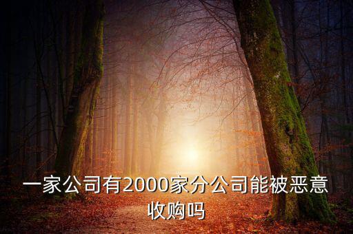 初靈信息為什么要并購，一家公司有2000家分公司能被惡意收購嗎