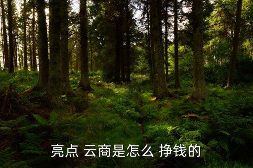 天成云商怎么掙錢,財富管理學院2020財政預(yù)算案