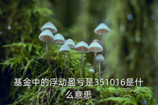 基金的浮動(dòng)盈虧是什么意思，基金中的浮動(dòng)盈虧是351016是什么意思