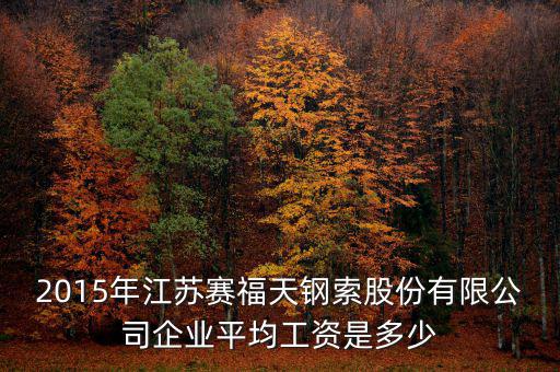 賽福天是什么公司，2015年江蘇賽福天鋼索股份有限公司企業(yè)平均工資是多少