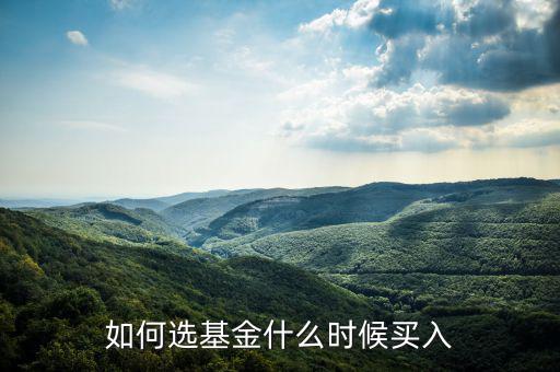 一只基金什么點(diǎn)買入好，我想買點(diǎn)基金哪一種比較好