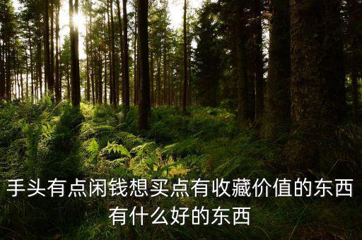 手頭有點(diǎn)閑錢想買點(diǎn)有收藏價值的東西有什么好的東西