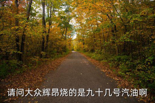 什么車燒90號汽油，請問大眾輝昂燒的是九十幾號汽油啊
