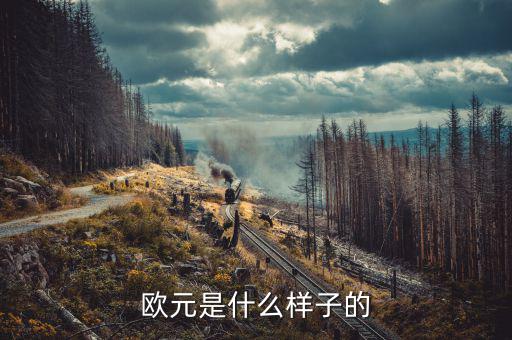 500面值似的歐元是什么樣的，500歐元是什么樣子的價值人民幣是多少大神們幫幫忙