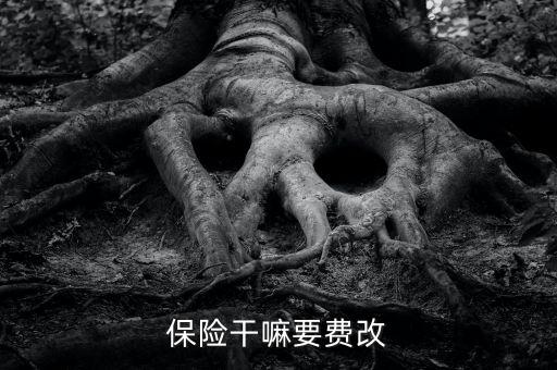 什么是費改產(chǎn)品，移動營業(yè)廳不能由用戶老產(chǎn)品轉(zhuǎn)換成當(dāng)前產(chǎn)品什么意思