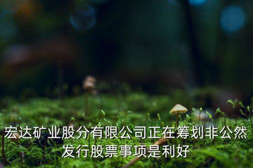 宏達(dá)礦業(yè)什么重大事項(xiàng)，請教600687停盤說是因?yàn)楹藢?shí)公司相關(guān)重大事項(xiàng)這個重大事項(xiàng)有知