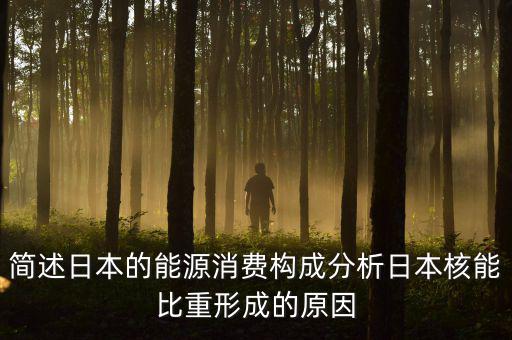 簡述日本的能源消費(fèi)構(gòu)成分析日本核能比重形成的原因