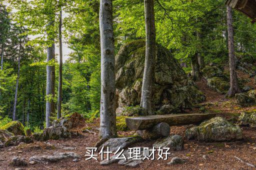 買什么理財產品，買什么理財好
