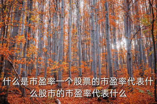 平均市盈率說明什么，什么是市盈率一個(gè)股票的市盈率代表什么股市的市盈率代表什么