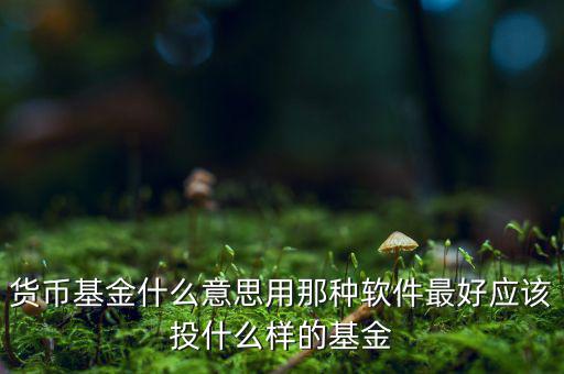 貨幣基金t什么意思，貨幣基金贖回時(shí)間T3是什么意思