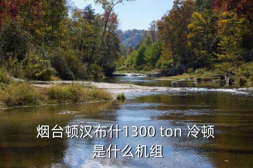 美國(guó)頓漢布什冰機(jī)什么用處，頓漢布什怎么樣