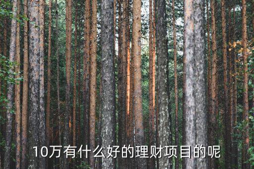 10萬(wàn)做什么理財(cái)好，10萬(wàn)有什么好的理財(cái)項(xiàng)目的呢