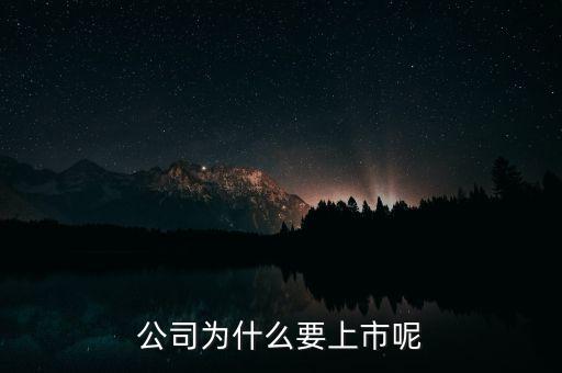 公司為什么上市，公司為什么要上市呢