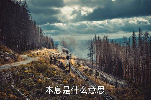 本息兌付什么意思，請問兌付是什么意思啊