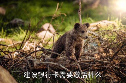 建行信用卡激活需要什么，激活信用卡需要準(zhǔn)備什么東西身份證和戶口本