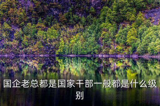 中交地產(chǎn)總經(jīng)理屬于什么級別干部，國企老總都是國家干部一般都是什么級別