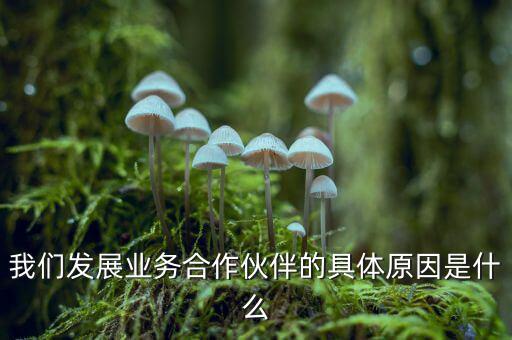 為什么要發(fā)展同業(yè)業(yè)務(wù)，匯付天下之前說要大力發(fā)展同業(yè)業(yè)務(wù)同業(yè)業(yè)務(wù)指的是甚么