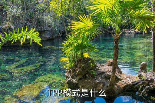 tpp什么時(shí)候生效，TPP文件時(shí)什么東西