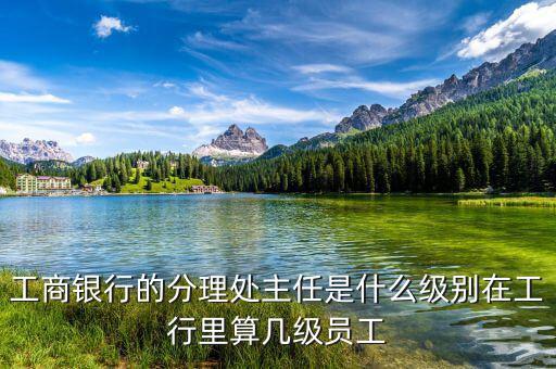 銀行分理處值班經(jīng)理是什么職位，工商銀行的分理處主任是什么級別在工行里算幾級員工