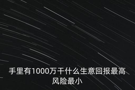 1000萬(wàn)投資什么生意，手里有1000萬(wàn)干什么生意回報(bào)最高風(fēng)險(xiǎn)最小