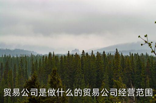 民百集團經(jīng)營什么，貿(mào)易公司是做什么的貿(mào)易公司經(jīng)營范圍
