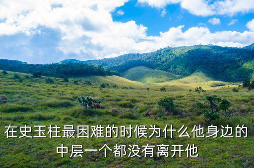 史玉柱為什么辭職，巨人史玉柱破產(chǎn)的原因是什么