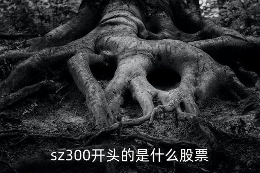 sz開頭的是什么股票，sz300開頭的是什么股票