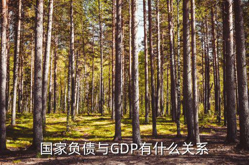 國(guó)家負(fù)債是什么，國(guó)債是什么比如說中國(guó)有美國(guó)的國(guó)債100億是否可以理解為美國(guó)欠中