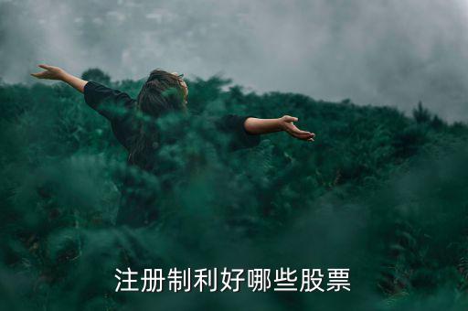 什么股票注冊(cè)制，IPO注冊(cè)制是什么意思