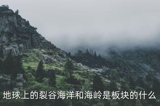 誠益通屬于什么板塊，地球上的裂谷海洋和海嶺是板塊的什么