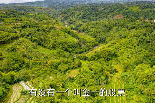 金一文化為什么停牌，金一文化什么時候復牌