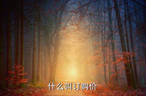 什么叫償二代，什么叫猹