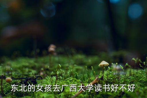 東北的女孩去廣西大學(xué)讀書(shū)好不好