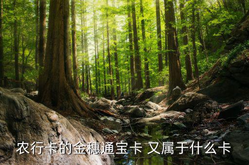 農(nóng)行叫號Q字頭是什么卡，農(nóng)行卡叫什么卡