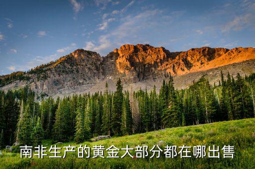 南非產(chǎn)黃金的地方了什么，南非的黃金城約翰內(nèi)斯堡