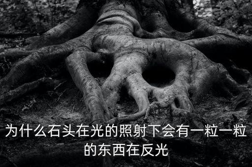 中金星石為什么這么差，為什么石頭在光的照射下會有一粒一粒的東西在反光