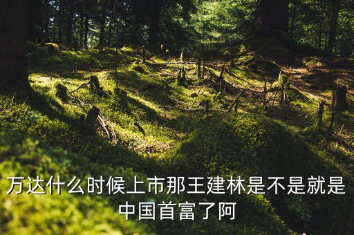 萬達什么時候上市，中國萬達集團是否上市