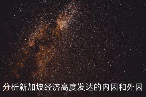 分析新加坡經(jīng)濟高度發(fā)達(dá)的內(nèi)因和外因