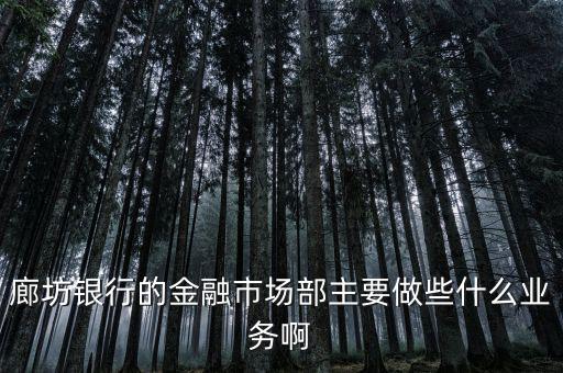 齊飛金融主營什么業(yè)務(wù)，堅固金融都有什么業(yè)務(wù)實力怎么樣