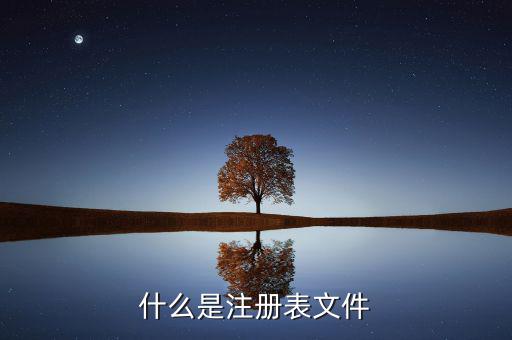 什么是注冊(cè)制，化妝品注冊(cè)是什么