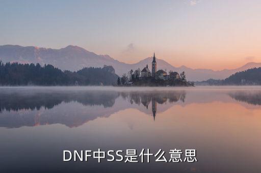 ngbss是什么，DNF武器cc和ss是指什么請詳細(xì)解釋