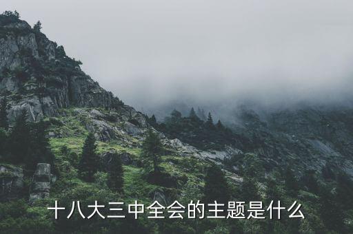 中全會(huì)講什么，七屆二中全會(huì)的主要內(nèi)容是什么啊
