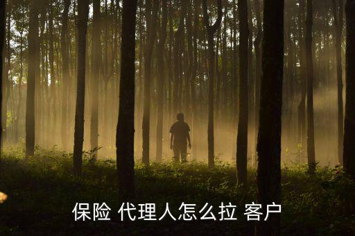 保險(xiǎn) 代理人怎么拉 客戶(hù)