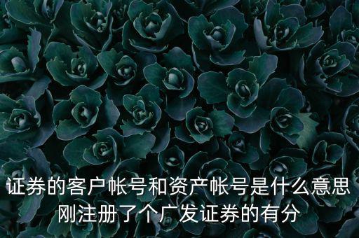 申萬宏源資產(chǎn)賬號是什么，我知道瀘A股東的賬號怎么查資金賬號申萬宏源